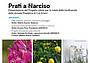 SERATA_28_MAGGIO-