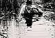 Gianfranco Gorgoni, Beuys, Joseph - Mooraktion Bog Action, Eindhoven, Netherlands 1971