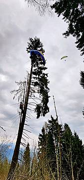 Pilota di parapendio sospesa a 30 metri da terra Pilota di parapendio sospesa a 30 metri da terra