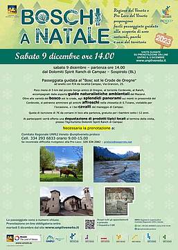 Locandina_Boschi-9dic23