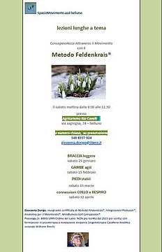 Feldenkreis 20250124