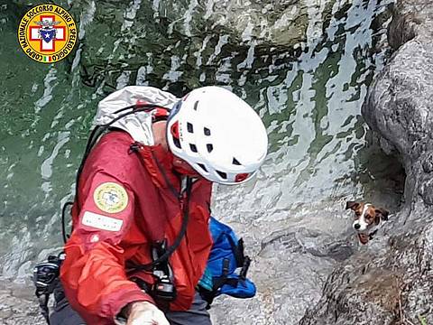 cane caduto presso il Rifugio Settimo Alpini cane caduto presso il Rifugio Settimo Alpini