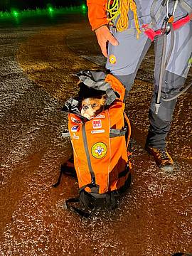 Recuperato escursionista assieme al suo cane