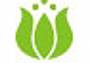 Logo Nuovo Cadore