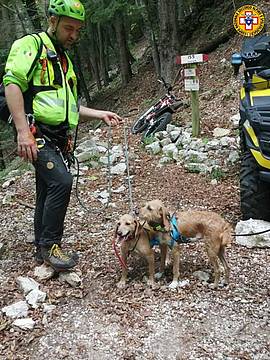 Recuperate Lola e Lucy sul Monte Grappa