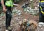Recuperate Lola e Lucy sul Monte Grappa