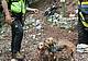 Recuperate Lola e Lucy sul Monte Grappa