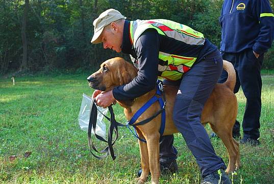 Ricerca superficie 4 Danilo_Baloo Ricerca superficie 4 Danilo_Baloo