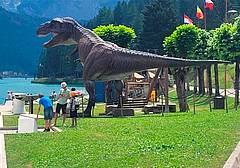 Si conclude la mostra che ha permesso di "incontrare" ad Auronzo di Cadore i grandi mammiferi del Pleistocene Si conclude la mostra che ha permesso di "incontrare" ad Auronzo di Cadore i grandi mammiferi del Pleistocene