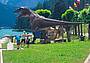 Si conclude la mostra che ha permesso di "incontrare" ad Auronzo di Cadore i grandi mammiferi del Pleistocene Si conclude la mostra che ha permesso di "incontrare" ad Auronzo di Cadore i grandi mammiferi del Pleistocene