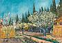 Vincent van Gogh, Alberi da frutto tra i cipressi, 1888 - Otterlo, Kröller-Müller Museum