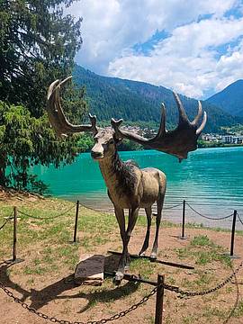 Una delle riproduzioni di mammiferi di milioni di anni fa sul lungolago di Auronzo di Cad