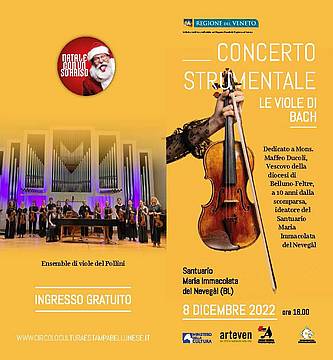 LE VIOLE DI BACH_vol 21x20-3 pag 1 LE VIOLE DI BACH_vol 21x20-3 pag 1