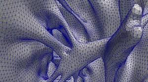 la matematica un buon alleato del cuore.jpg la matematica un buon alleato del cuore.jpg
